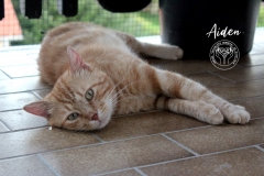 71276135_2851744808190171_4393027558350782464_o