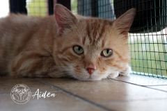 83226812_3119064254791557_4243523646607327232_o