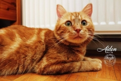 86661836_3165754153455900_5598422928975724544_o