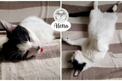 106991298_3524594764238502_1701012773646761280_n