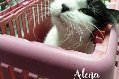 157033893_4252610568103581_920554164717126651_n