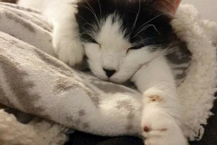 274410884_5420431631321463_818069888297766899_n