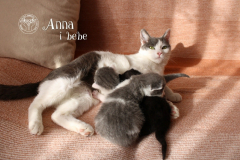 277772112_5541937125837579_3328523069563362774_n