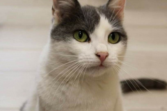 279299093_5622680477763243_7709439390924067754_n