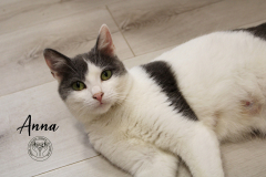 280709378_5654481887916435_7064345934132436966_n