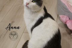 283650862_5676512175713406_2840093667607158043_n