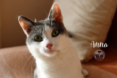 285247879_5698610616836895_2352661150056010357_n