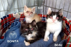 64627369_2639264966104824_6092577496409047040_o-e1586882385356