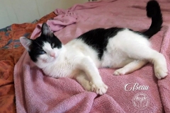 78873989_2187921134845585_1214404476845162496_n-1-e1586882168443