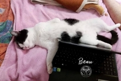 86464126_3165765606788088_297639691719540736_o