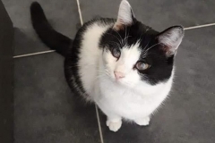 88444863_3222189244479057_7694156889688375296_n-1