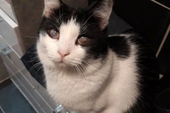 89626466_803376836816695_3704717319264534528_n