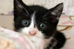 285624231_733116947736874_3203409621624639169_n