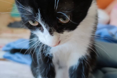 294849386_3386925748254542_1565330812129423405_n