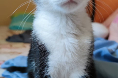 294958665_463350338560662_1272414825785009590_n