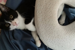 295214250_1412016239300244_6784087096339040592_n