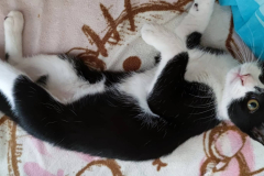 295248394_778442873326584_4224906298096914142_n