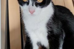 306070974_5999386926759261_450680782963140202_n