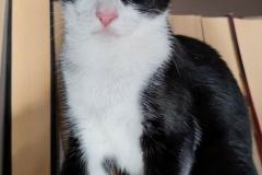 307007944_6024306030934017_6028488794079603476_n