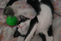 331319263_1617447462061755_8783902075318685541_n