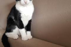 331349963_5519150354855717_8115774528653605311_n