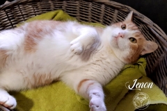 135788806_780103022713762_9202822517553177179_n