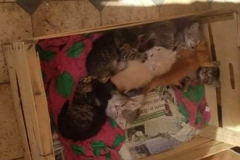 285450225_5703319299699360_5877543649537396996_n