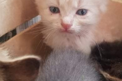 285492700_5703319706365986_1725629958699340895_n