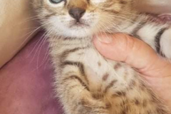 285596661_5703319586365998_6499510739850729997_n