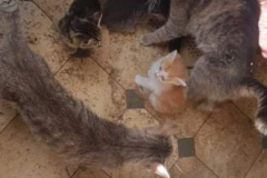 285631936_5703319379699352_1027145654950077541_n