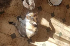 285655212_5703319476366009_6231838442831023838_n