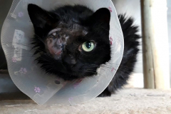 272730673_499168464913217_6306163944177129874_n