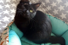 275116544_357817422742390_7763713057381100405_n