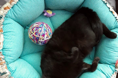 276129557_314584597324836_5860889805470458262_n