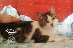 279709187_5281309725263528_738800320128598357_n