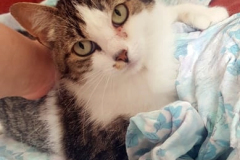 280618460_350448867077849_6678850056391905634_n