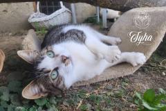 311362229_6116176291746990_2349399574610594633_n