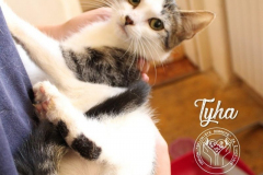 71016835_2840854745945844_877253375219990528_n