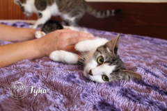 72398455_2884059528292032_8396764920284184576_n