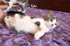 77040499_2988366417861342_6238714505979756544_n