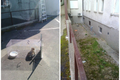 10504794_1136188703079132_6483826404168590763_o