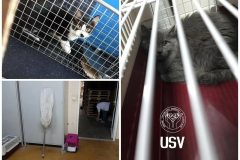 139977324_4122205247810781_2465199299996397151_n