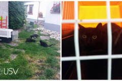 21015715_1684952674869396_1035727875213893490_o