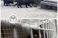 241760117_4840356715995627_3479658469139007380_n