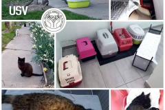 92412729_3286924251338889_4639204908979978240_n