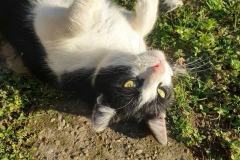 326362978_584563523512184_745442214253216036_n